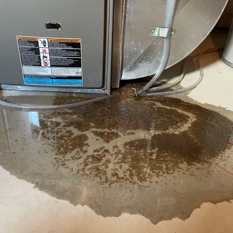 Appliance Leak Cleanup in Wayne County, PA